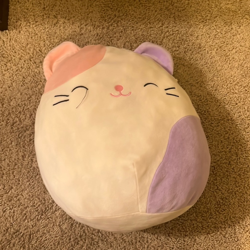 Medium sized cat squishmallow. Will cut off string on eye if bought. No flaws